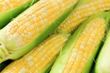 Sweet Corn Fritters