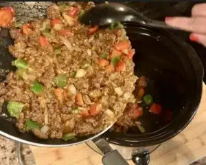 Slow Cooker Sloppy Joe Dip