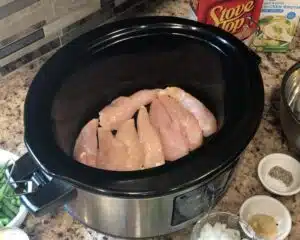 Easy Crockpot Chicken and Stuffing