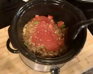 Slow Cooker Sloppy Joe Dip