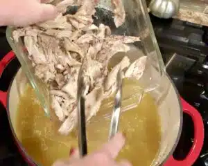 Easy Chicken and Dumplings with Canned Biscuits